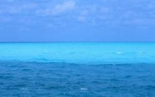 Природные особенности тихого океана
