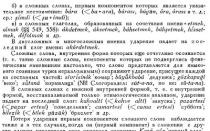 Словарь собственных имён русского языка