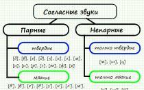 Согласные звуки Шумные согласные в русском языке